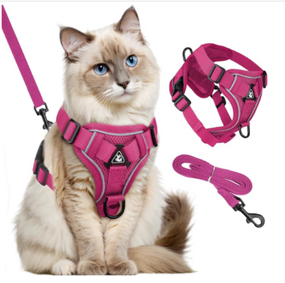 Harnais et laisse pour chien - Anneau de stabilisation triangulaire