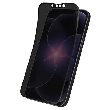 Panzerglass Verre Trempé Privacy Protection d'écran iPhone