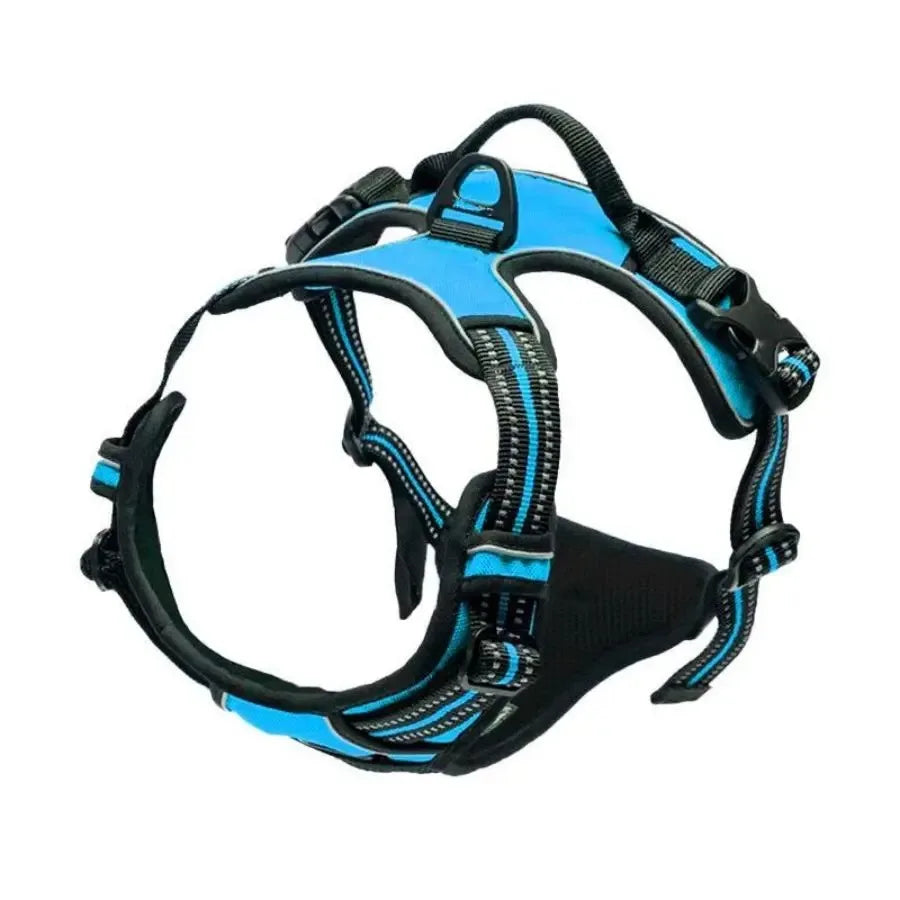 Harnais anti-traction pour chien – Confort et contrôle lors de chaque promenade