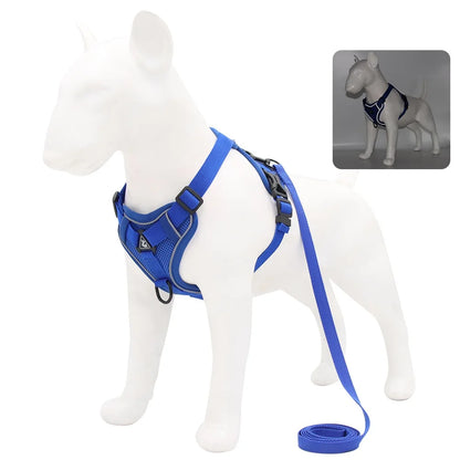 Harnais et laisse pour chien - Anneau de stabilisation triangulaire