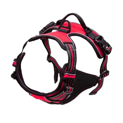 Harnais anti-traction pour chien – Confort et contrôle lors de chaque promenade