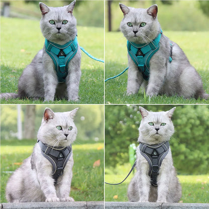 Harnais et laisse pour chien - Anneau de stabilisation triangulaire