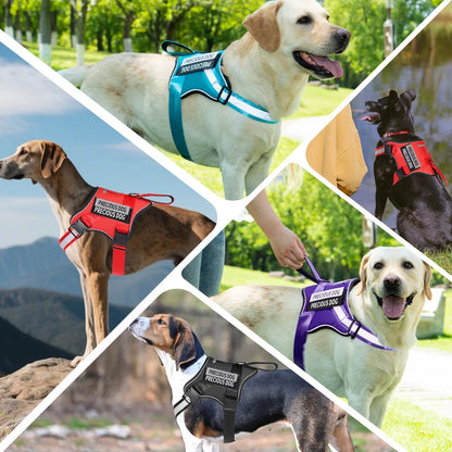 Harnais pour chien réfléchissant, respirant et réglable, sans traction, gilet pour petits, moyens et grands chiens
