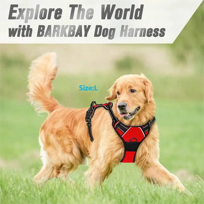 Harnais anti-traction pour chien – Confort et contrôle lors de chaque promenade