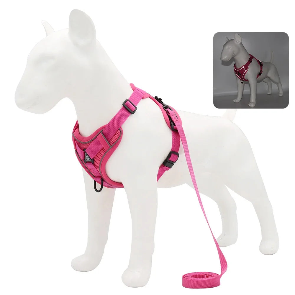 Harnais et laisse pour chien - Anneau de stabilisation triangulaire