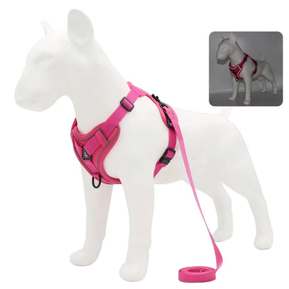Harnais et laisse pour chien - Anneau de stabilisation triangulaire