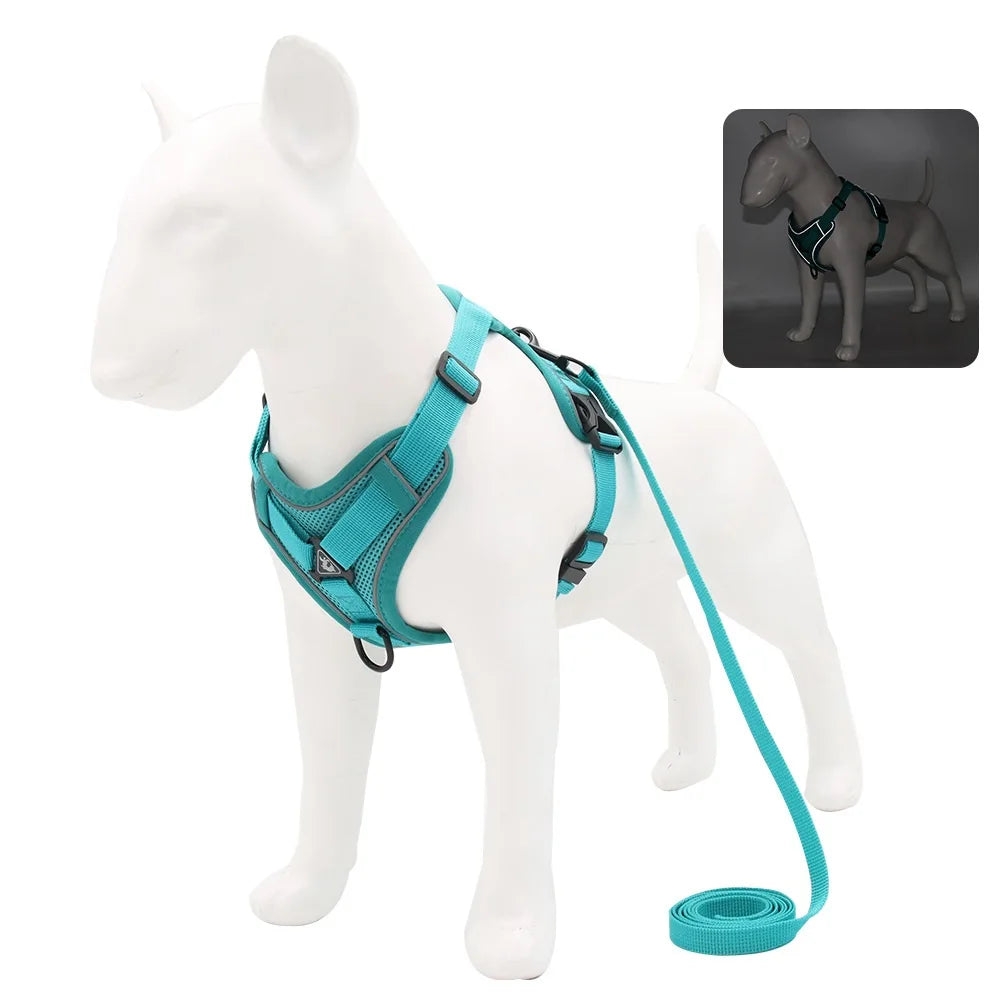 Harnais et laisse pour chien - Anneau de stabilisation triangulaire