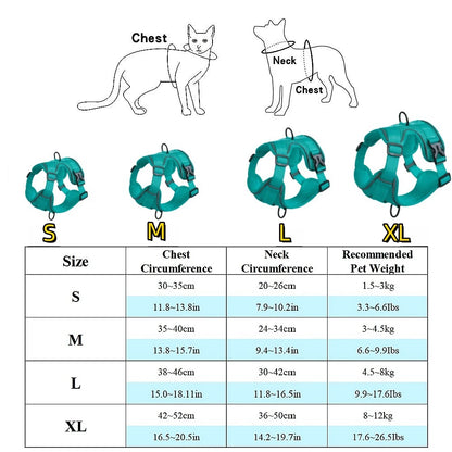 Harnais et laisse pour chien - Anneau de stabilisation triangulaire