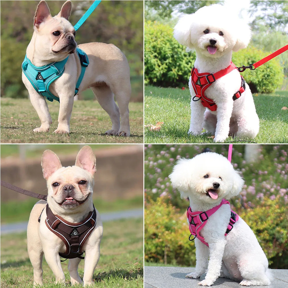 Harnais et laisse pour chien - Anneau de stabilisation triangulaire