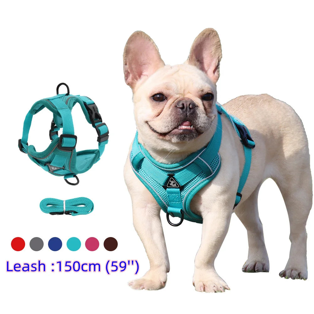 Harnais et laisse pour chien - Anneau de stabilisation triangulaire