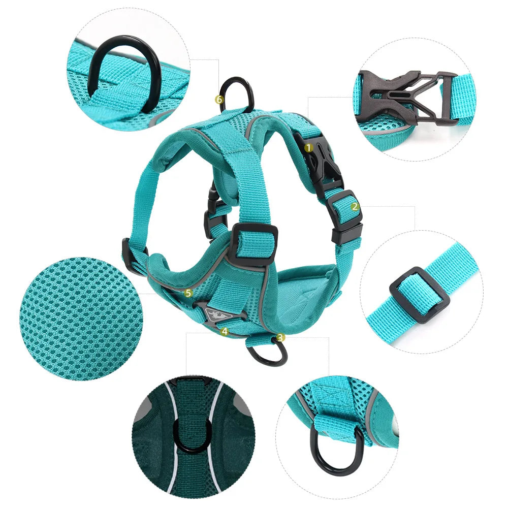 Harnais et laisse pour chien - Anneau de stabilisation triangulaire