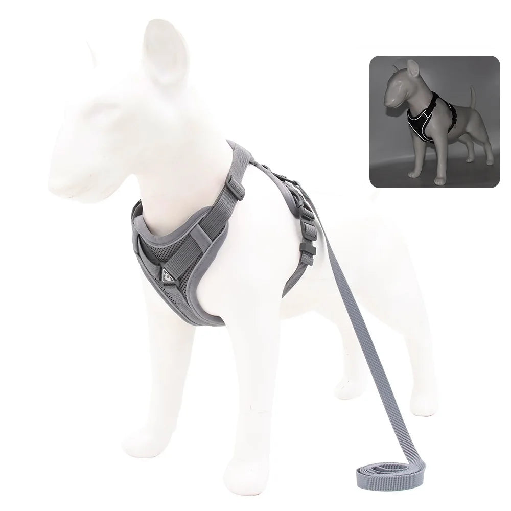 Harnais et laisse pour chien - Anneau de stabilisation triangulaire