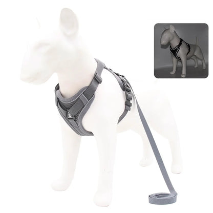 Harnais et laisse pour chien - Anneau de stabilisation triangulaire