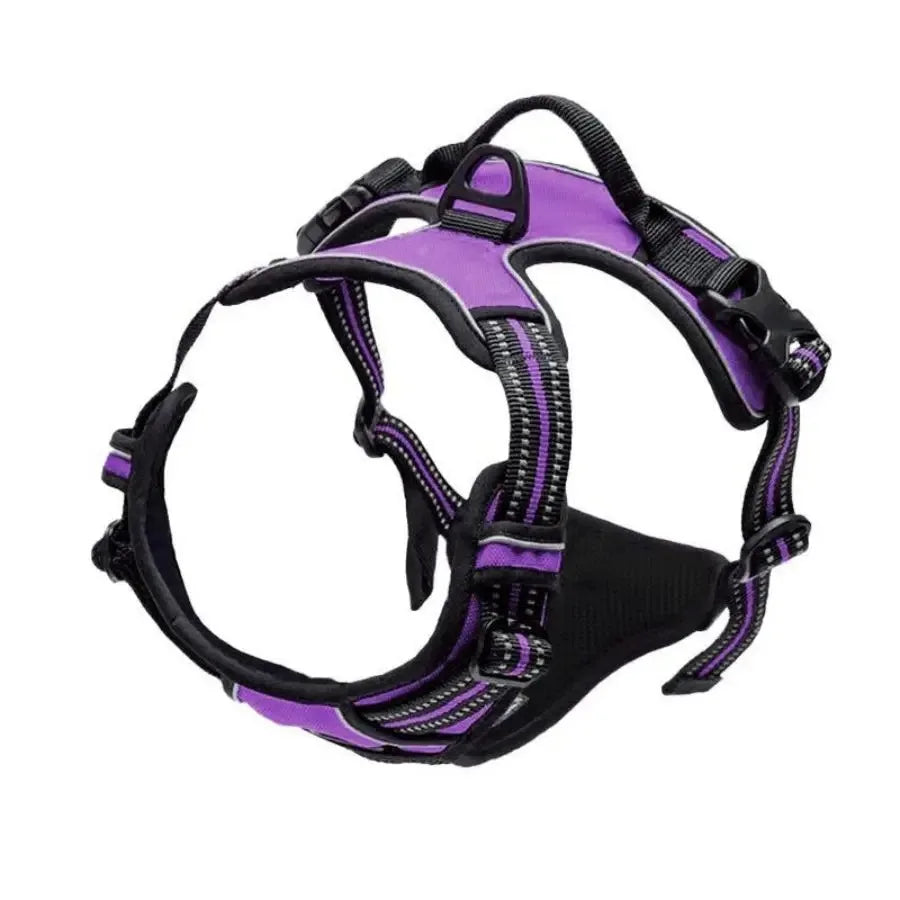 Harnais anti-traction pour chien – Confort et contrôle lors de chaque promenade