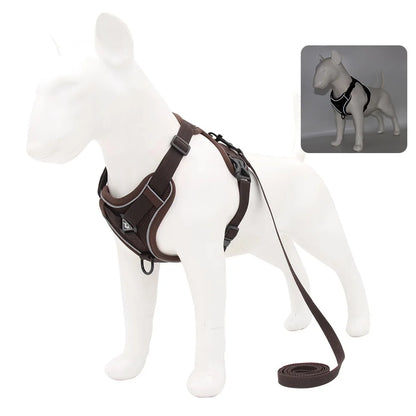 Harnais et laisse pour chien - Anneau de stabilisation triangulaire