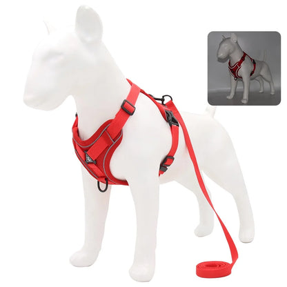 Harnais et laisse pour chien - Anneau de stabilisation triangulaire